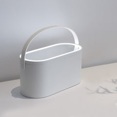Portable LED Light Storage Box Makeup Mirror – Beauty Organizer with LED Lighting