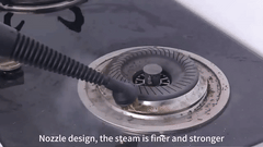 DF - Steam Cleaner (DF-A001) | Powerful Home Cleaning Solution